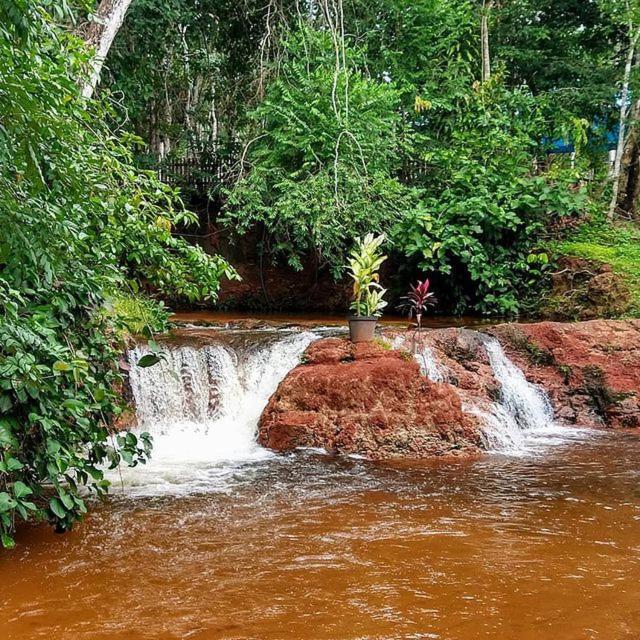 Hospedagem Aldeia Do Leao Hotell Carolina  Exteriör bild